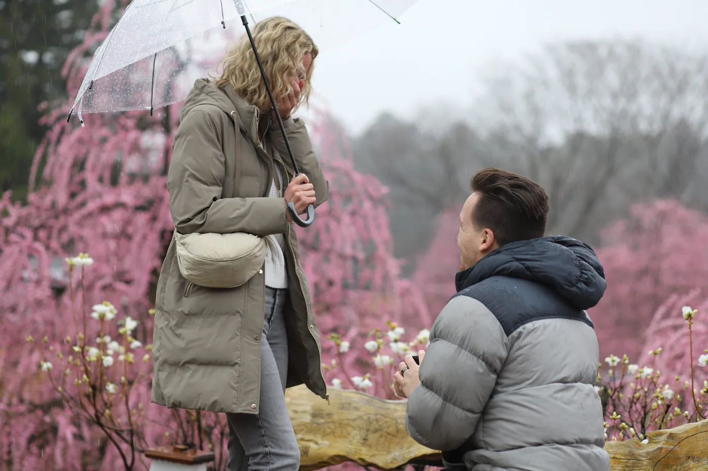 Proposing to Marij among the blooming plum trees at Suzuka Forest Garden, February 2024