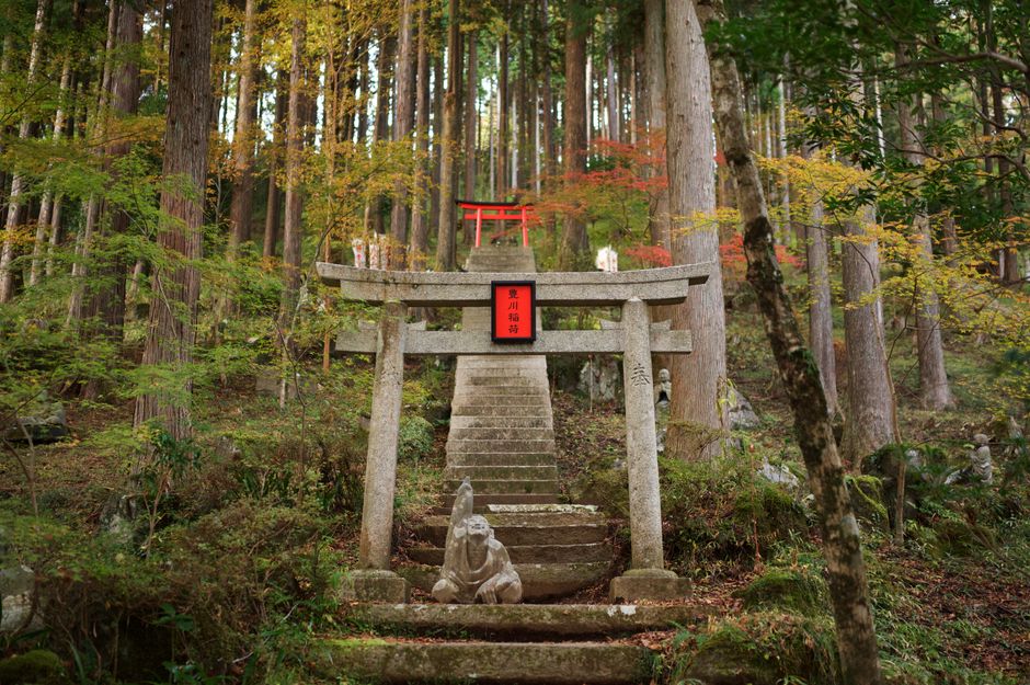 The stone-stepped pilgrim path through cedar forest on Mount Oyama