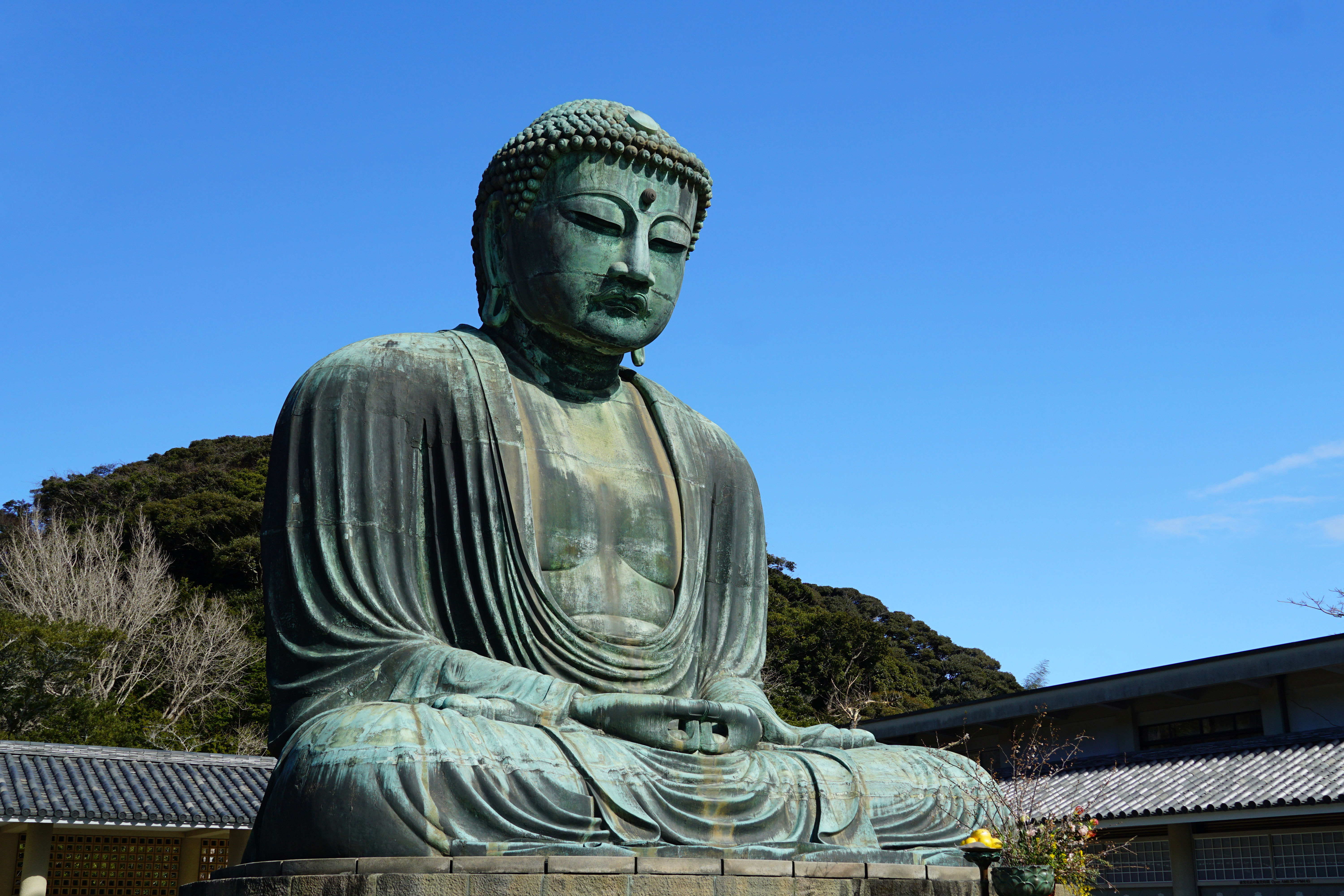 The Great Buddha of Kamakura at Kotoku-in