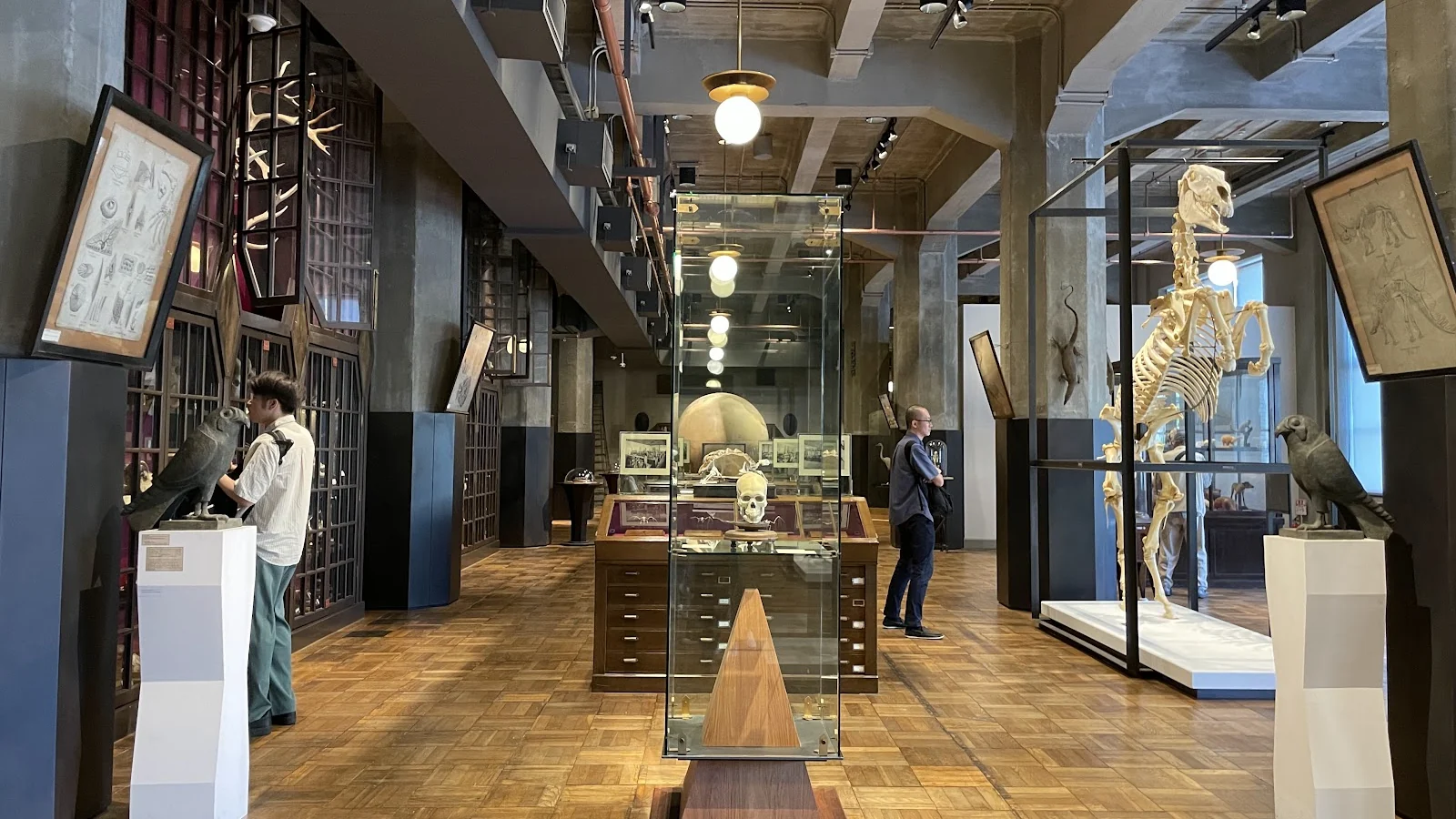 Intermediatheque