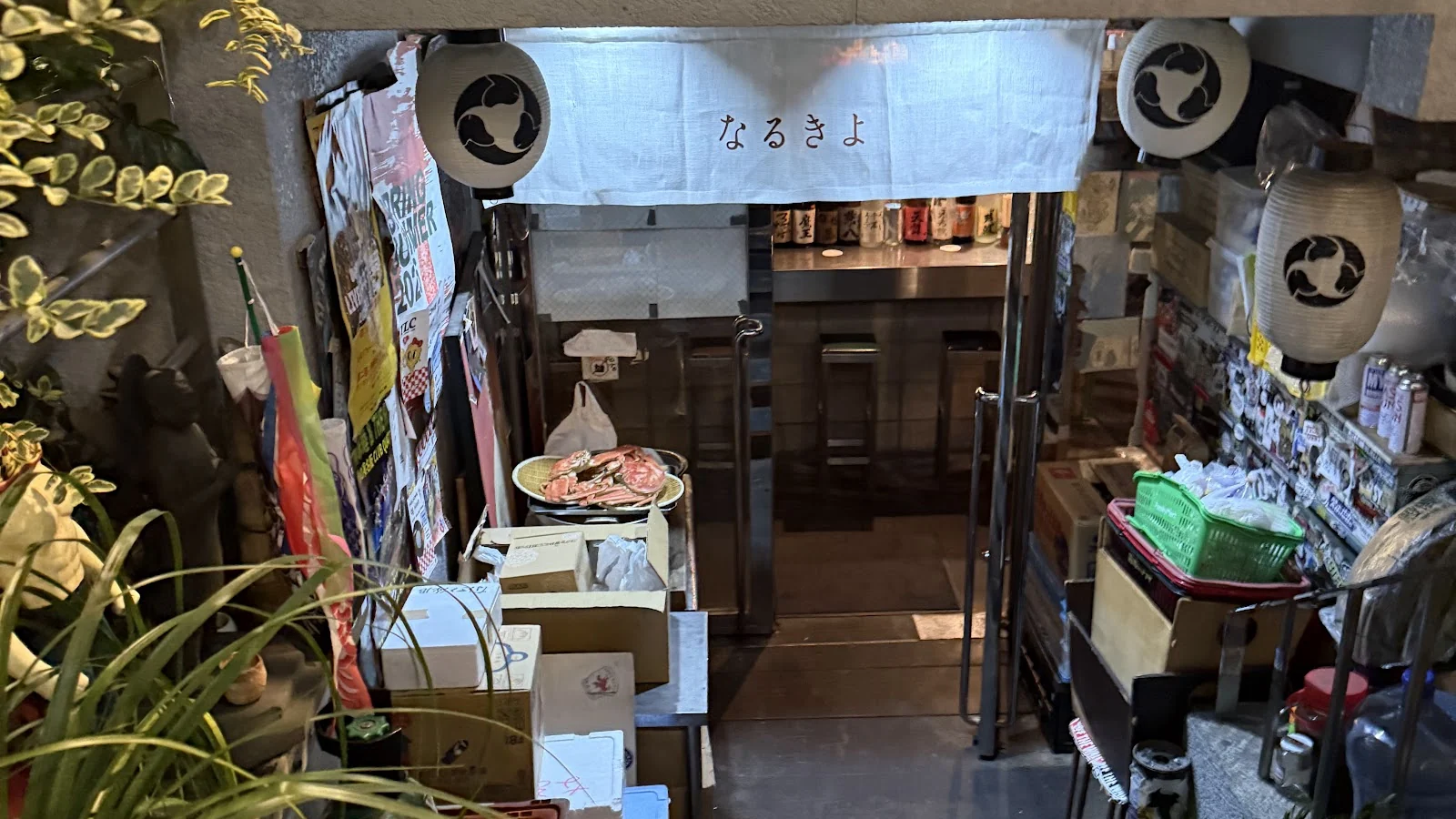 Narukiyo
