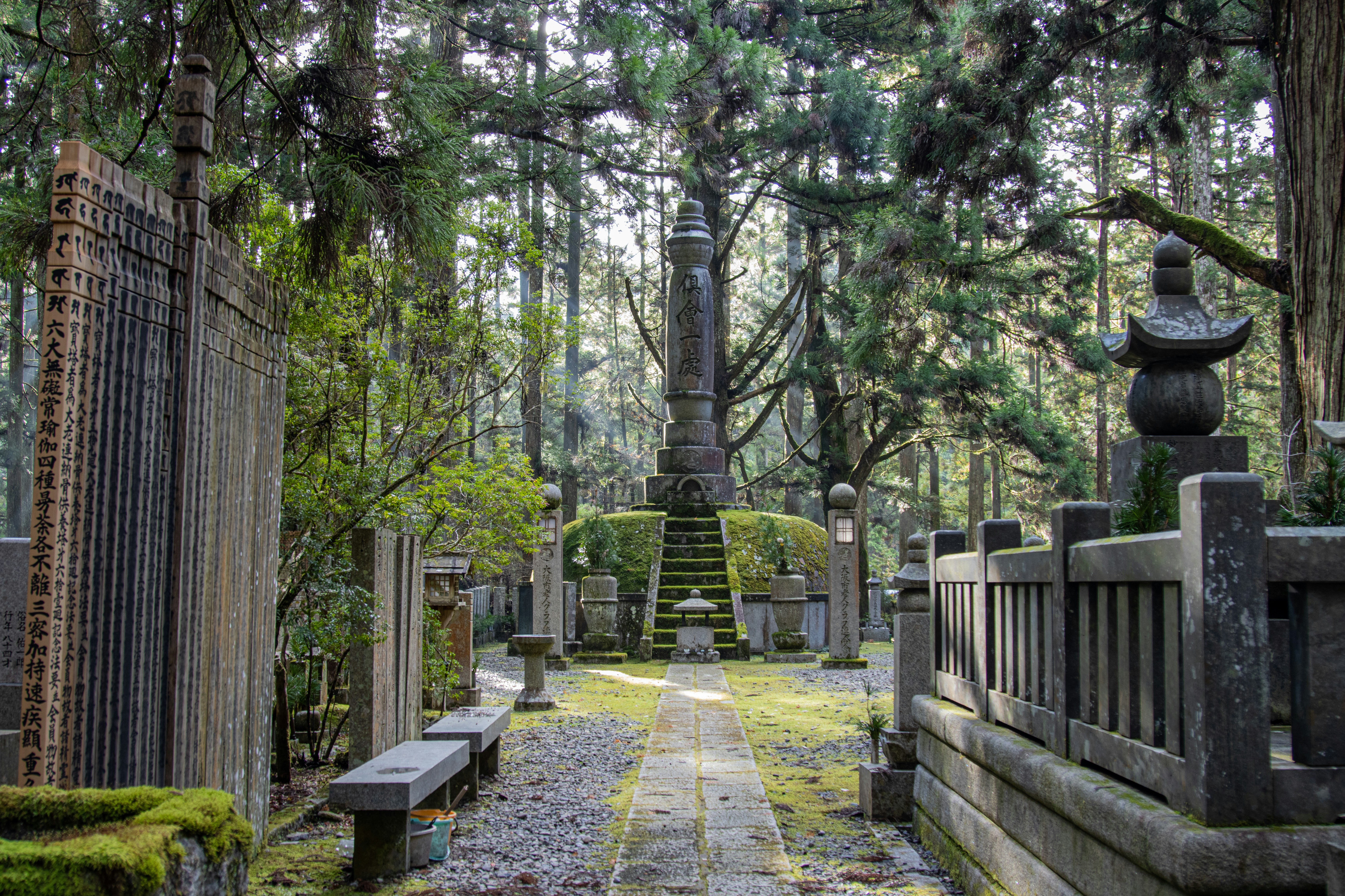 A cedar lined path flanked by mossy stone lanterns in the Okunoin cemetery at Koyasan