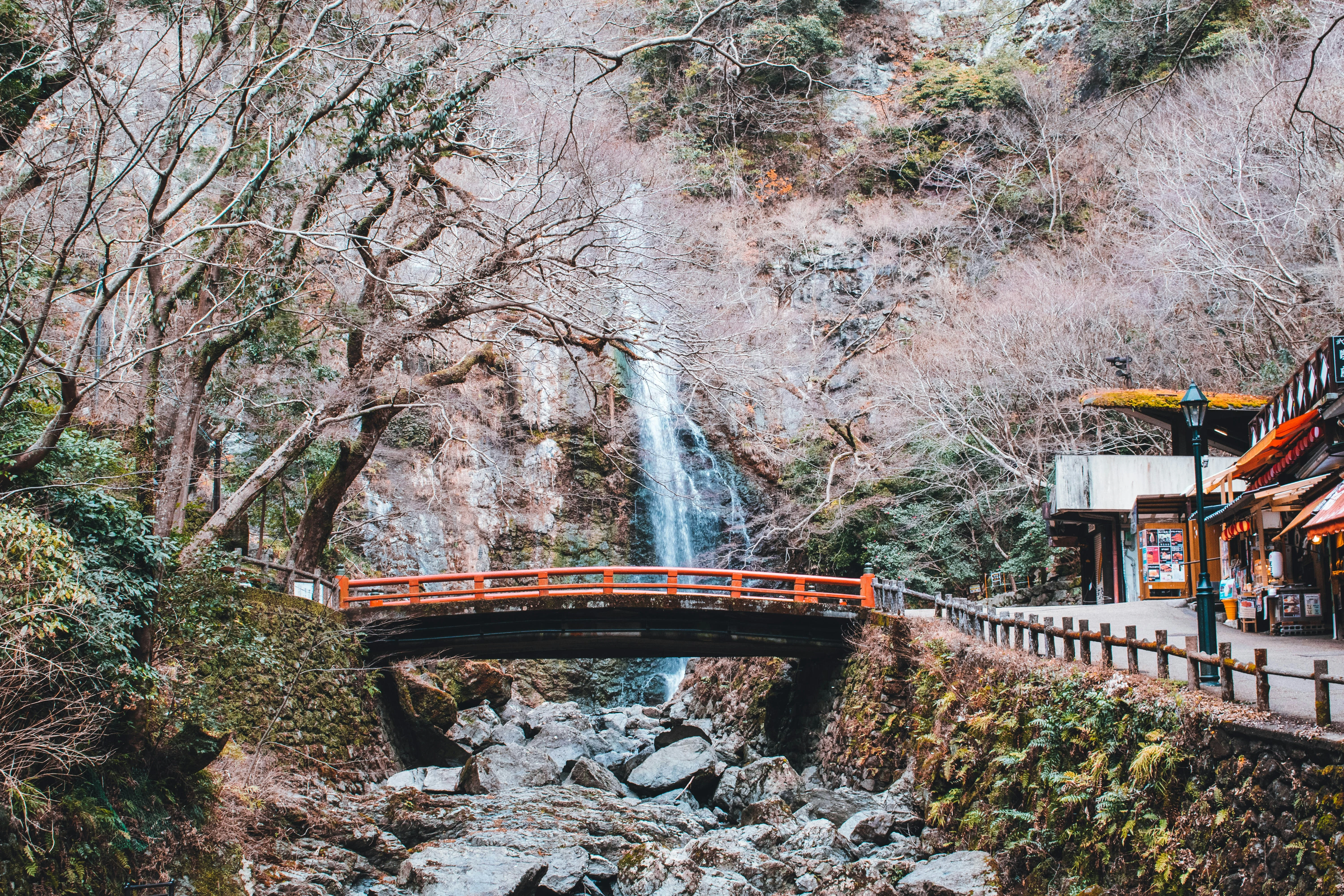 Day trips from Osaka: 8 escapes (including 3 nobody else lists)