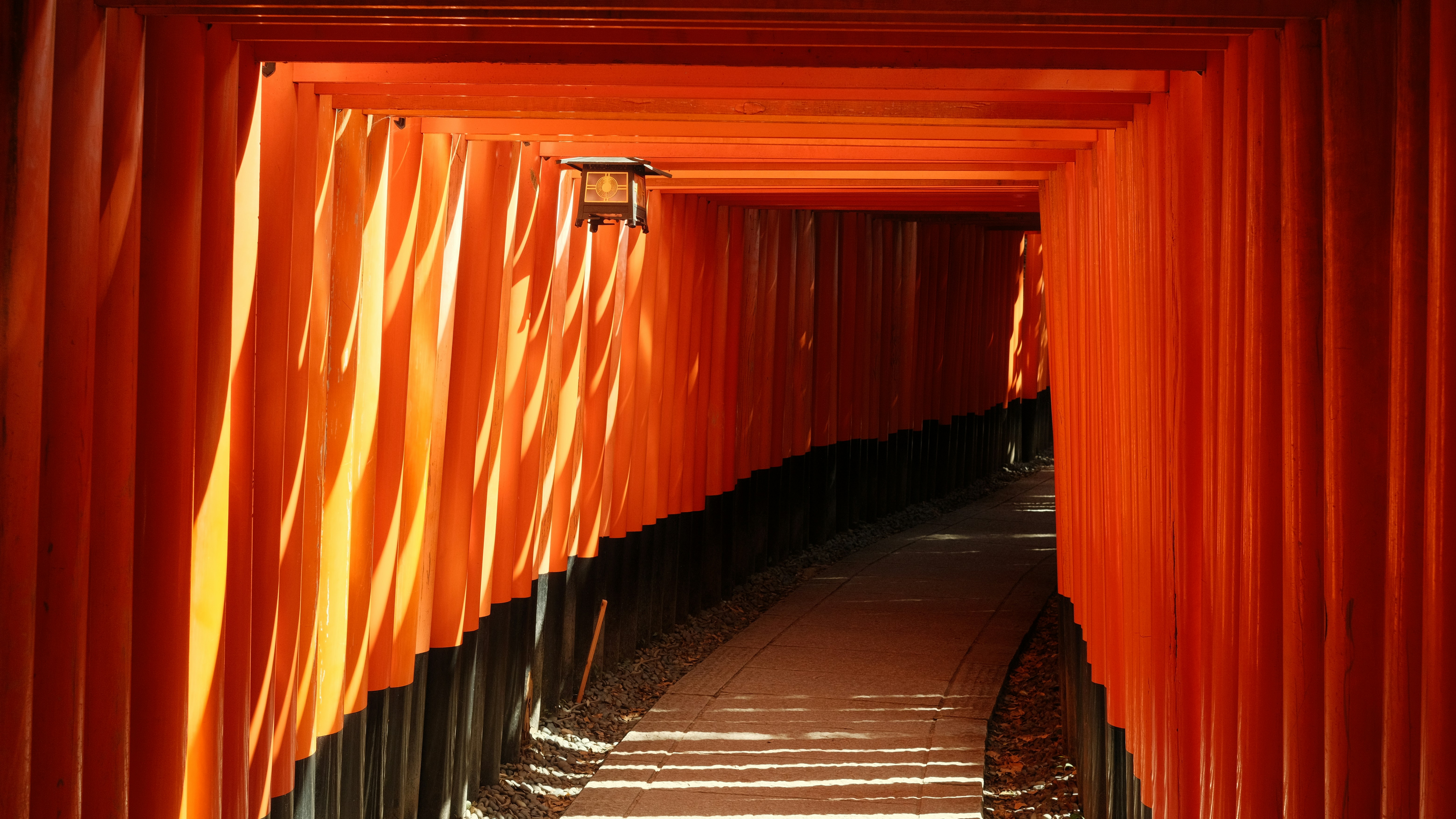 Vermilion torii gates climbing the mountain path at Fushimi Inari-taisha