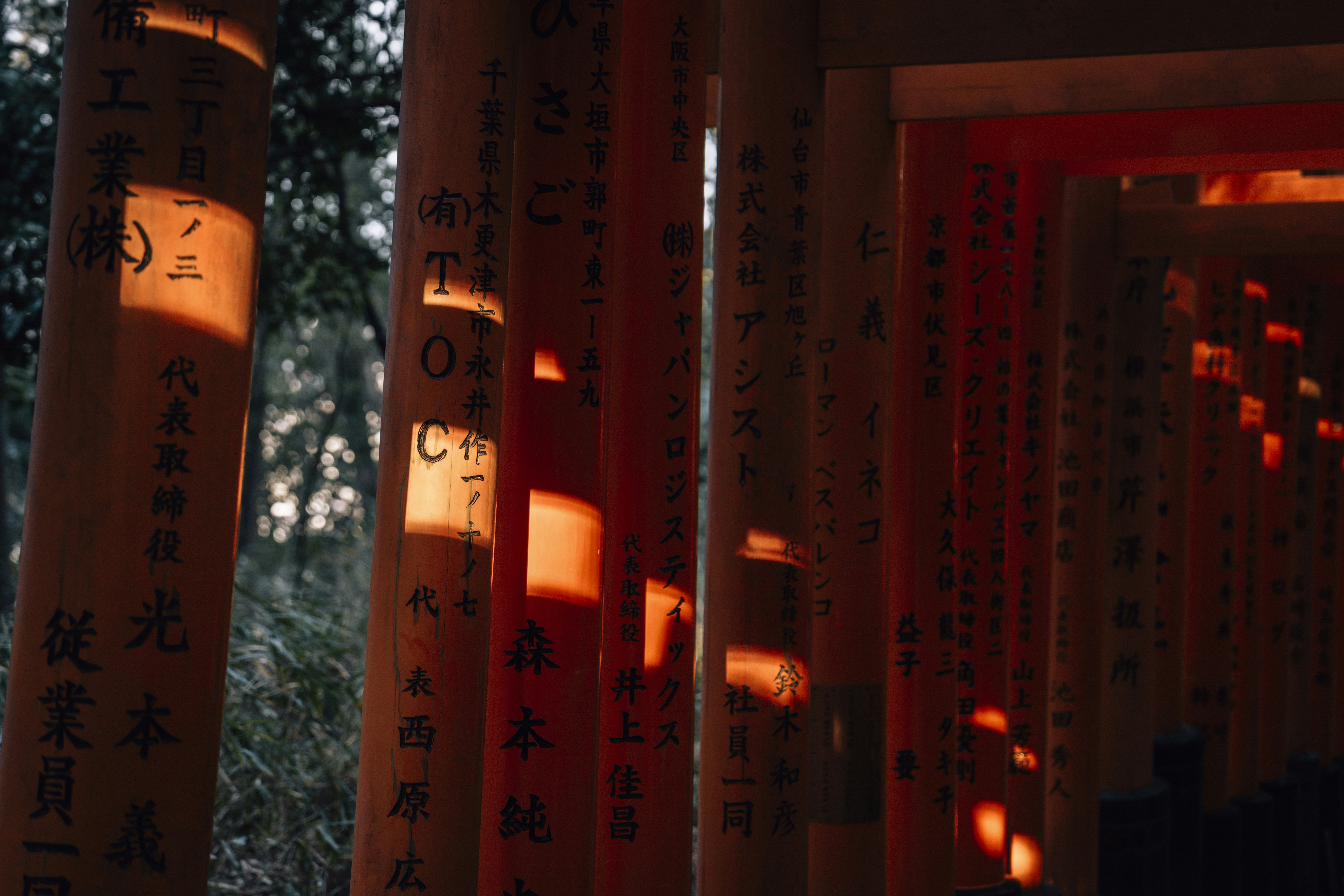 Paper and stone lanterns glowing at a Kyoto shrine after dark