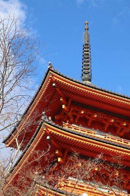 The vermilion Kompon Daito pagoda at Danjo Garan in early morning light