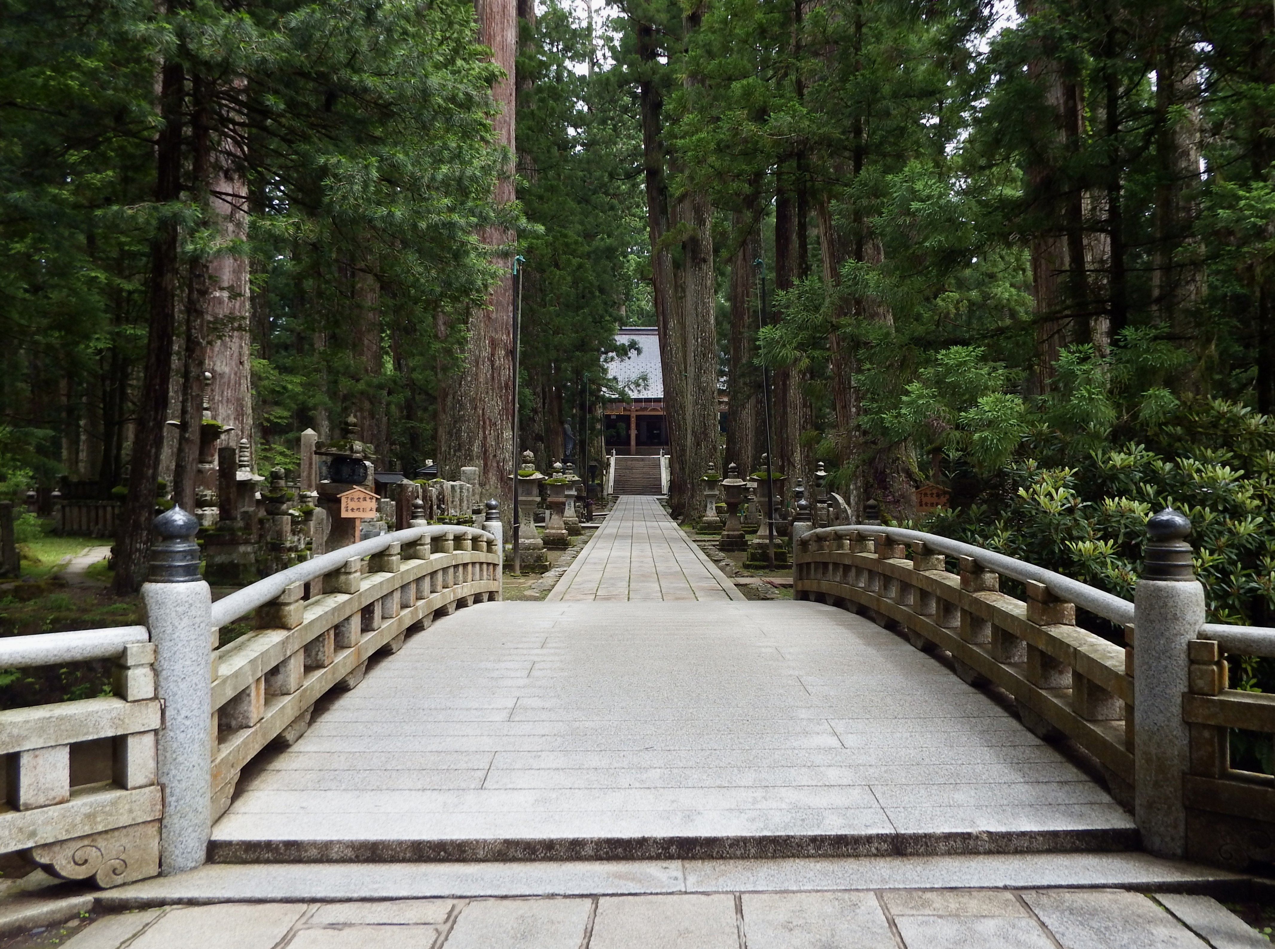 Lantern-lit stone path through cedar trees at Okunoin cemetery at dusk