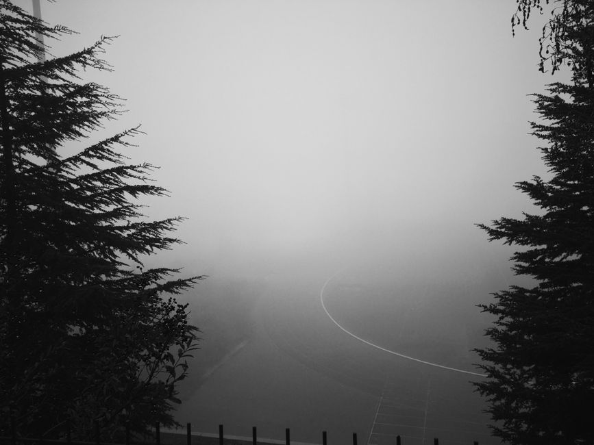 Cedar forest and quiet road on Mount Koya in the late afternoon mist