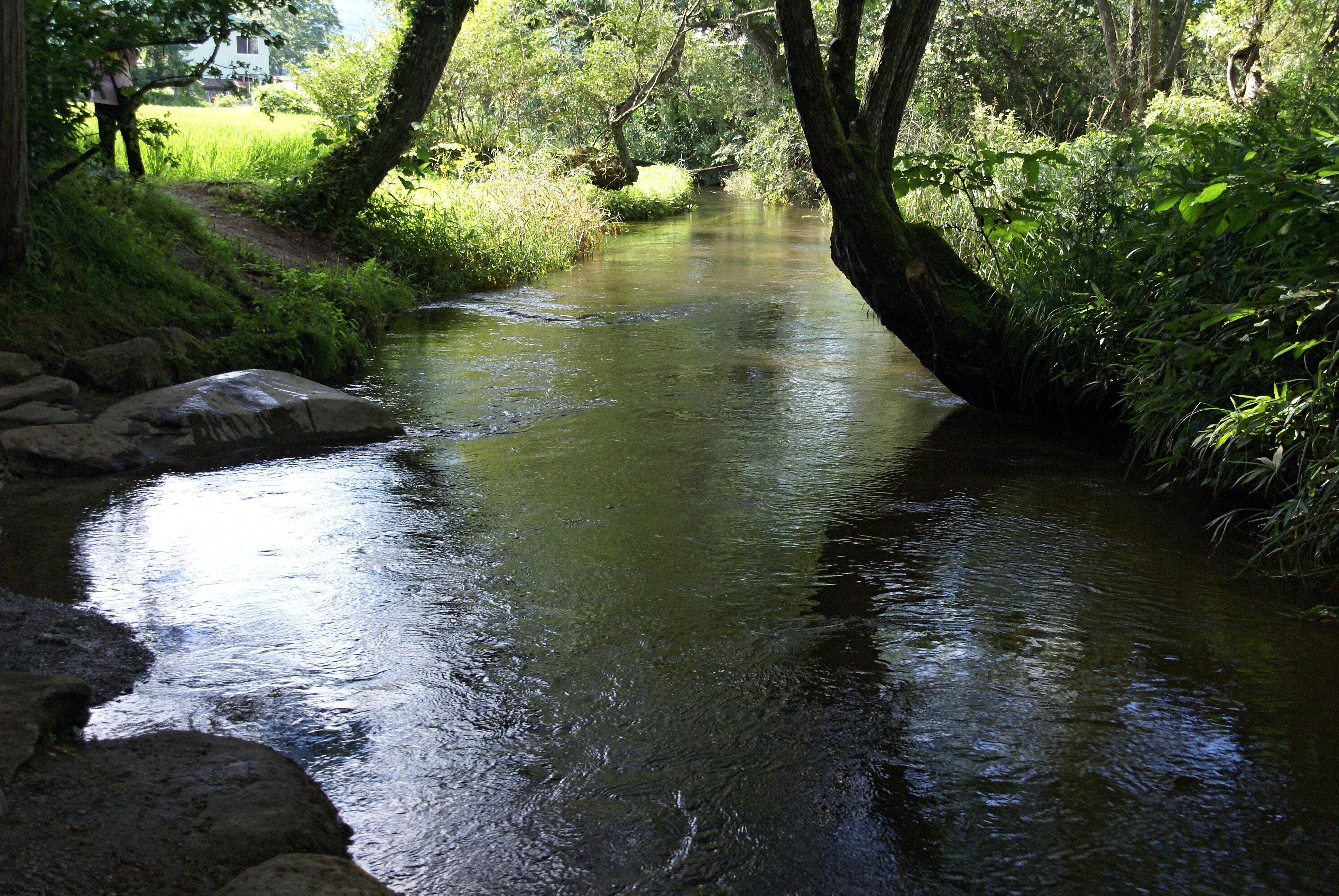 The kappa pool of Kappabuchi near Tono