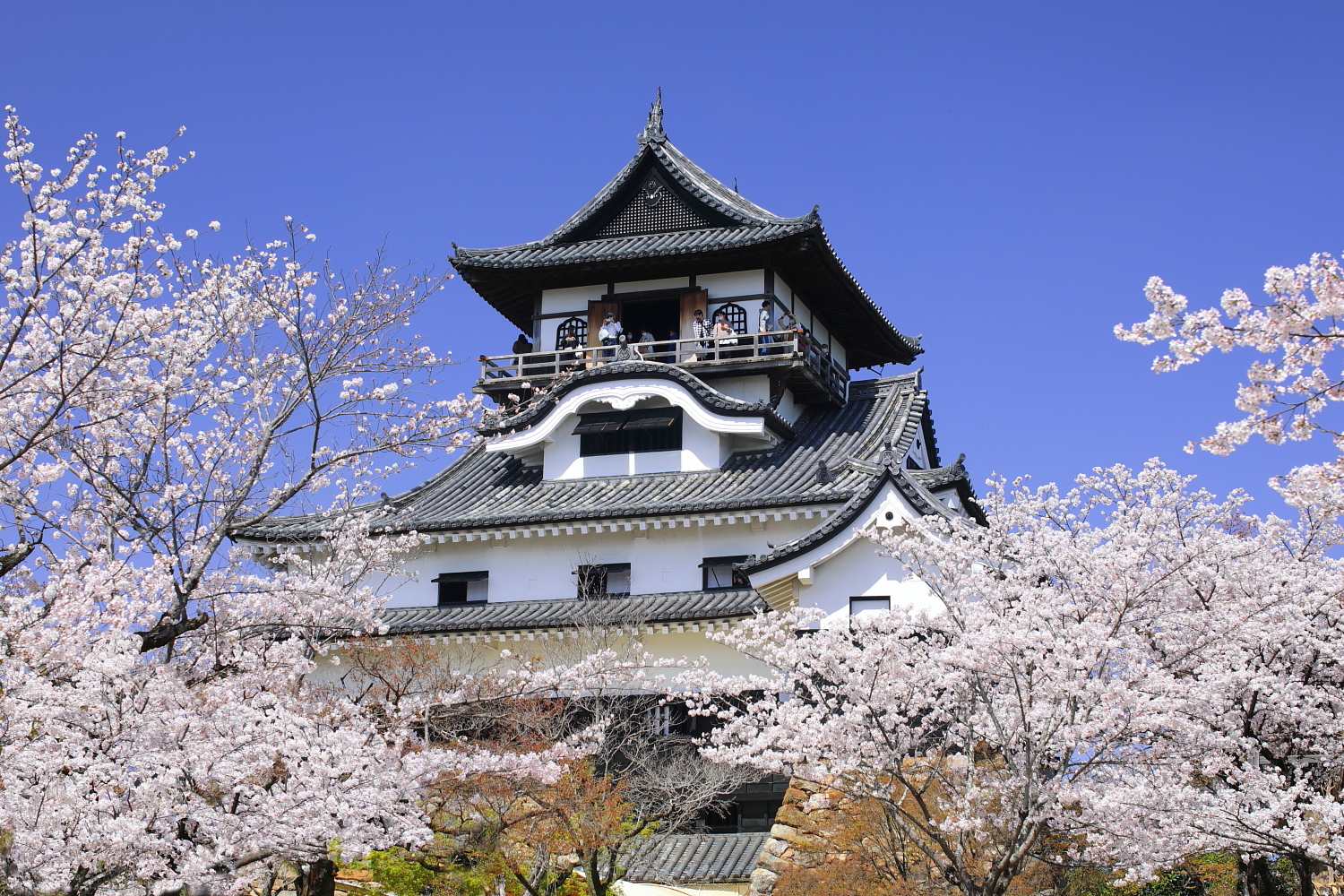 Inuyama