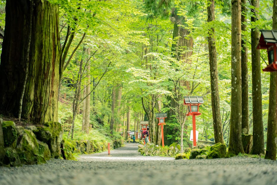Heisenji Hakusan Shrine