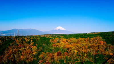 Shizuoka