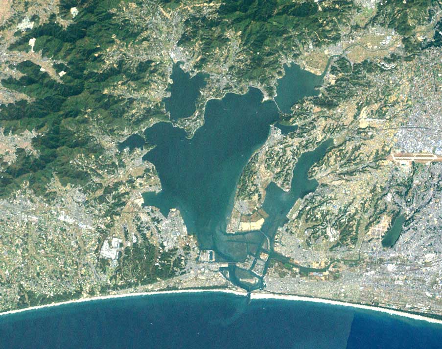 Hamamatsu