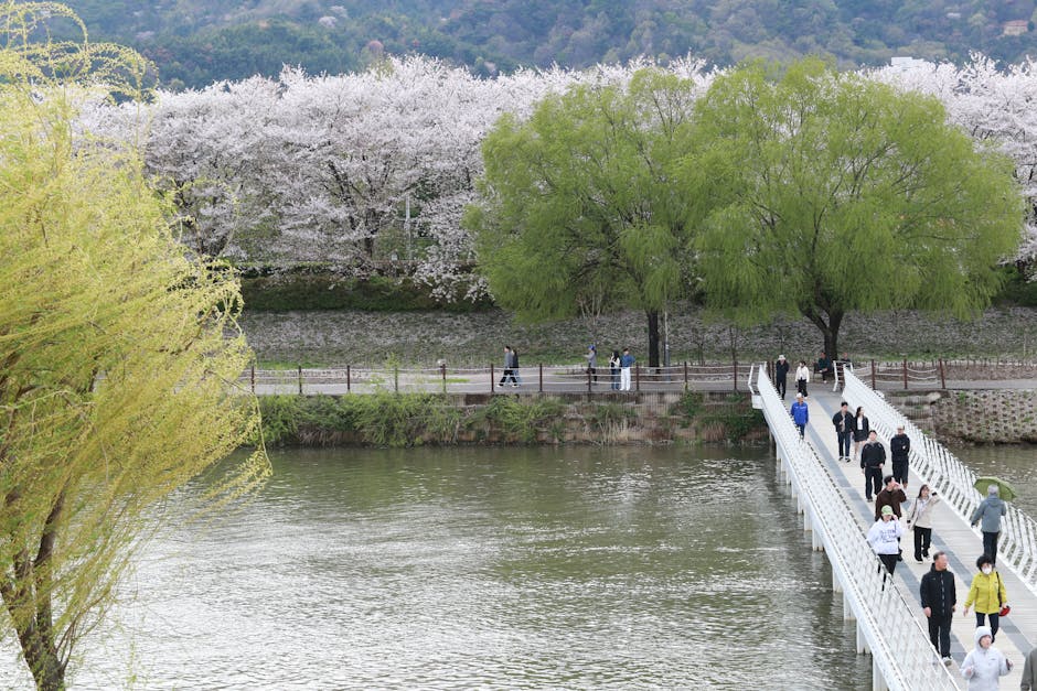 Iwakuni