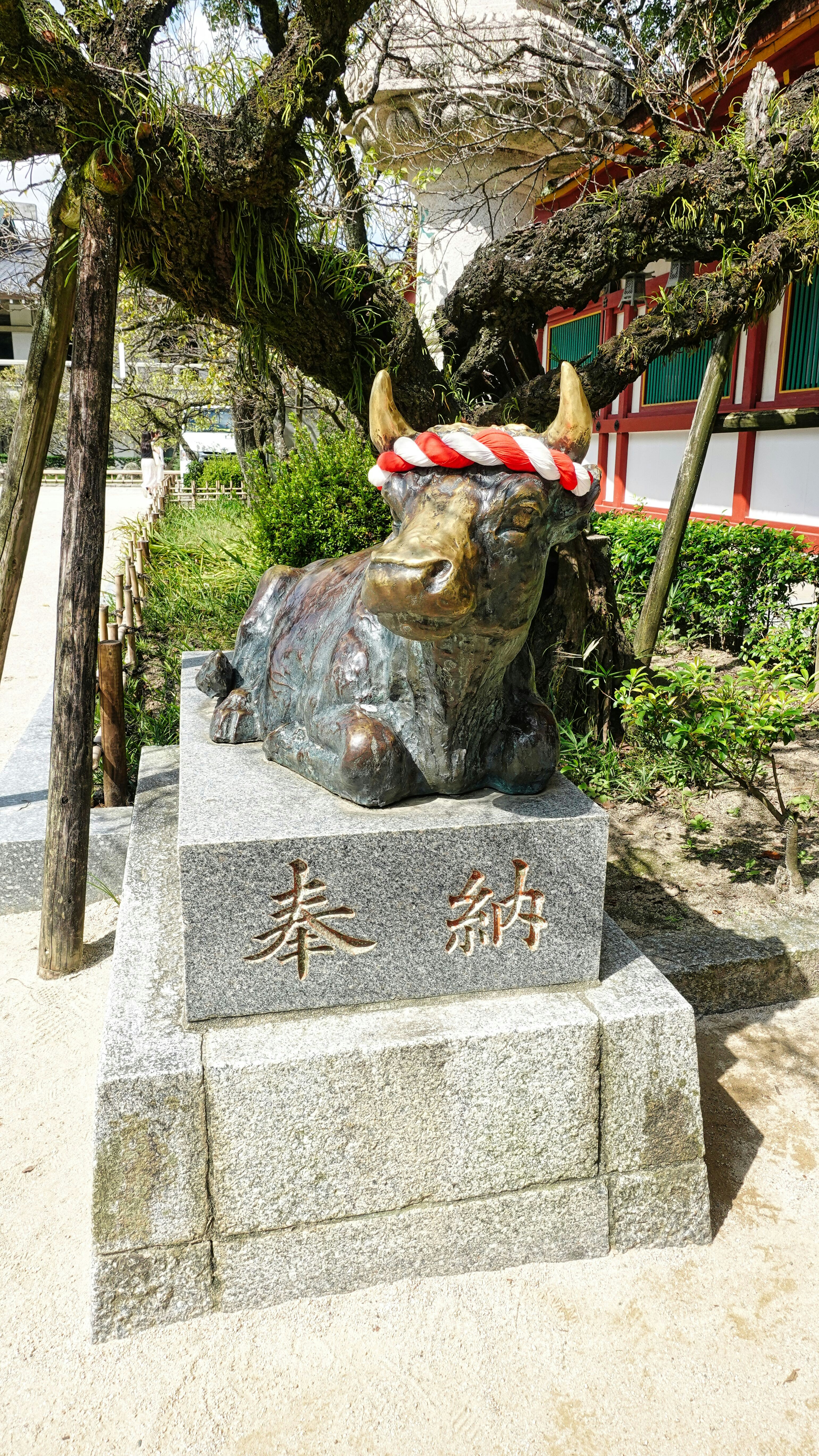 Bronze ox statue at Dazaifu Tenmangu, its head polished smooth by visitors