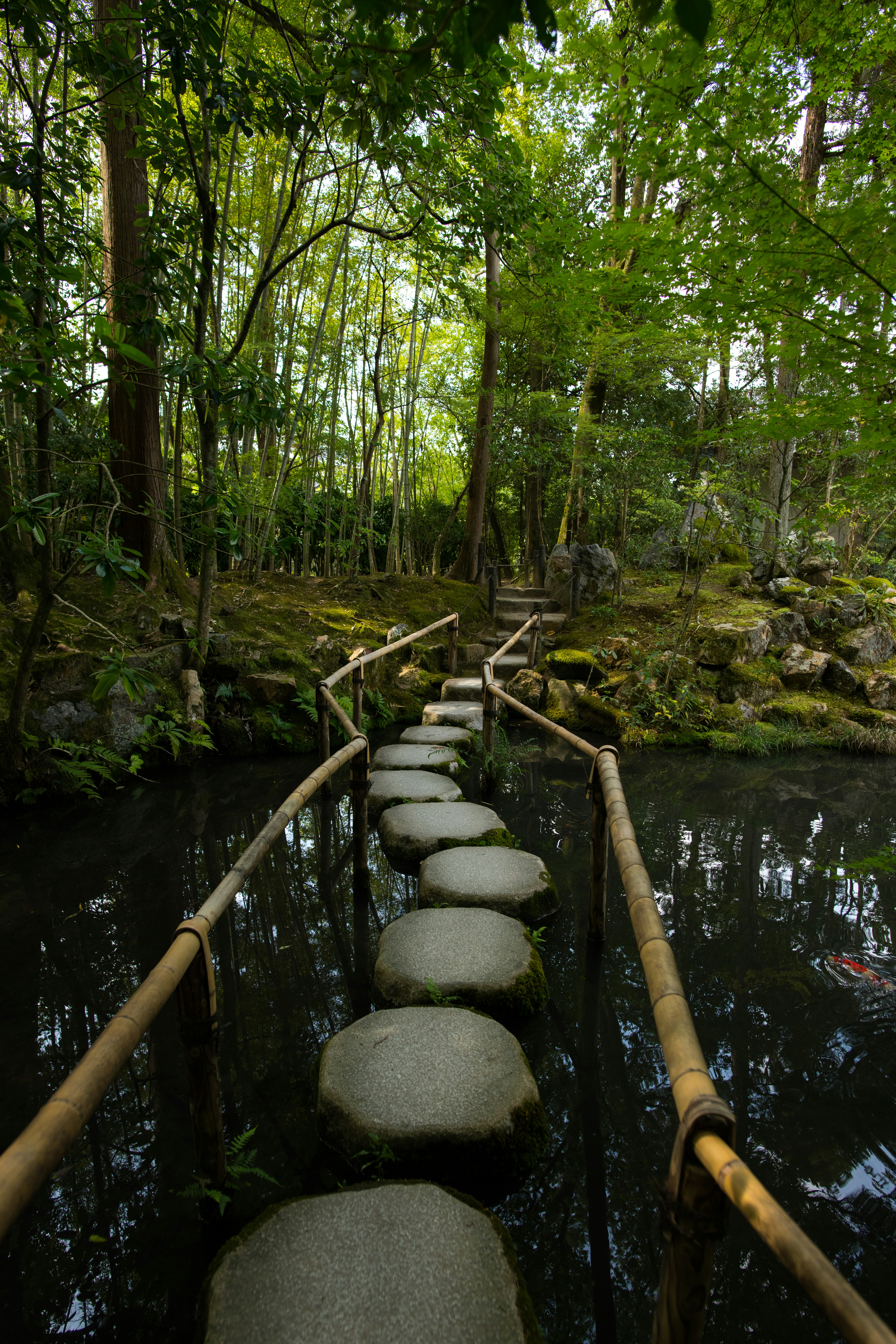 Stepping stones across the stream on Mt Takao Trail 6