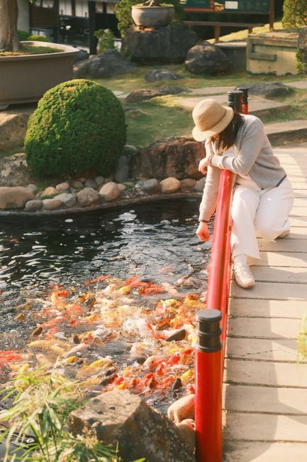 The pond and bridge of Shukkeien Garden in Hiroshima