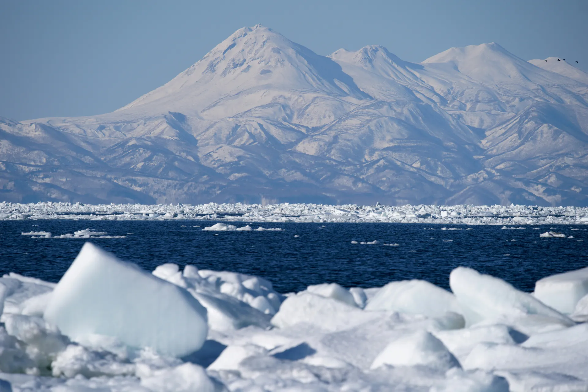 Drift ice on the Sea of Okhotsk below the snow-covered Shiretoko mountains, Hokkaido