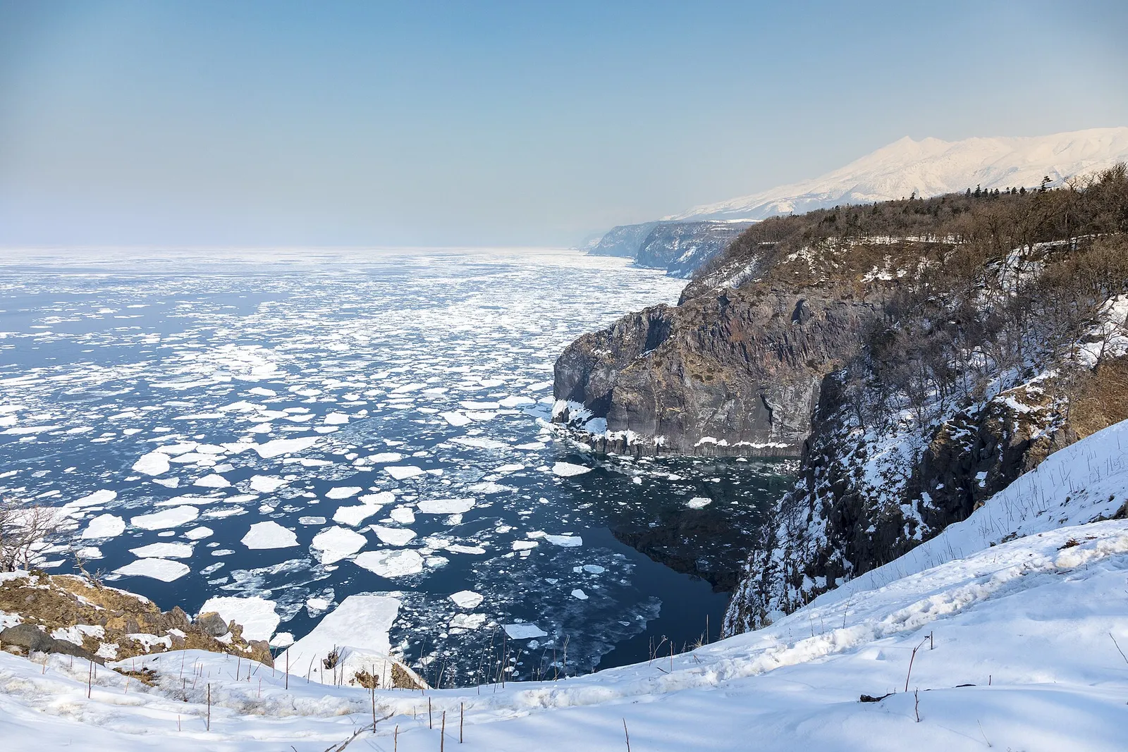 Drift ice filling the sea below the snowy cliffs of the Shiretoko Peninsula