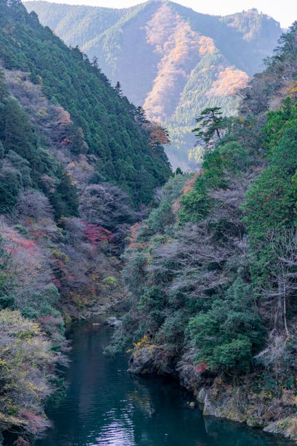Autumn foliage along the Tama river at Mitake Gorge
