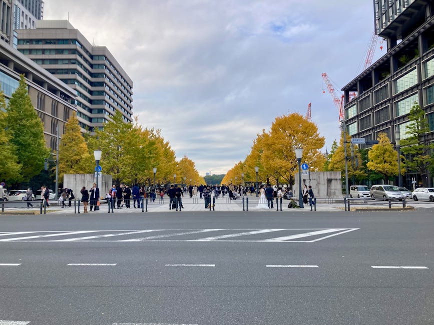 Marunouchi Naka-dori
