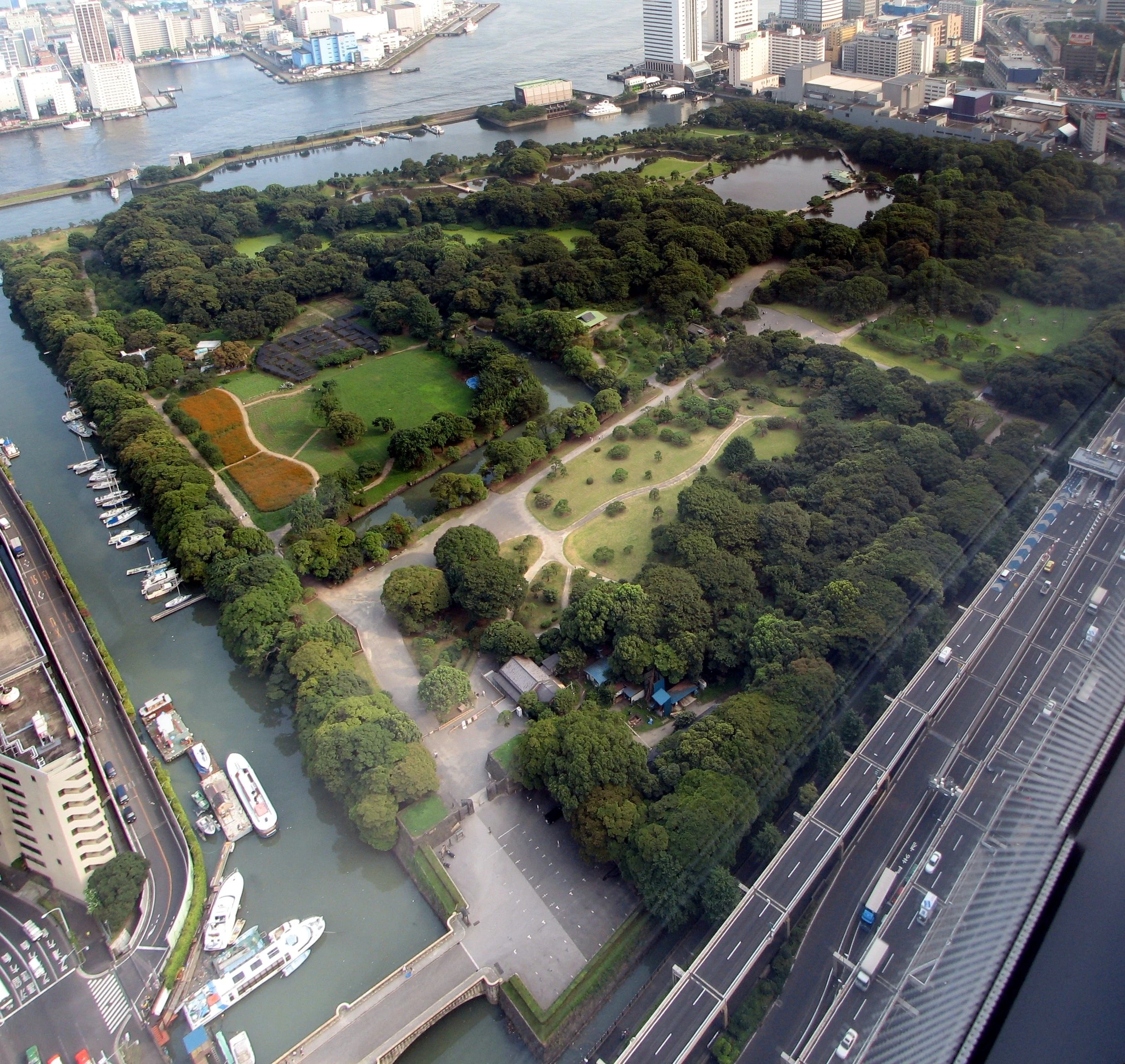 Traditional Japanese garden with cherry blossoms in Tokyo
