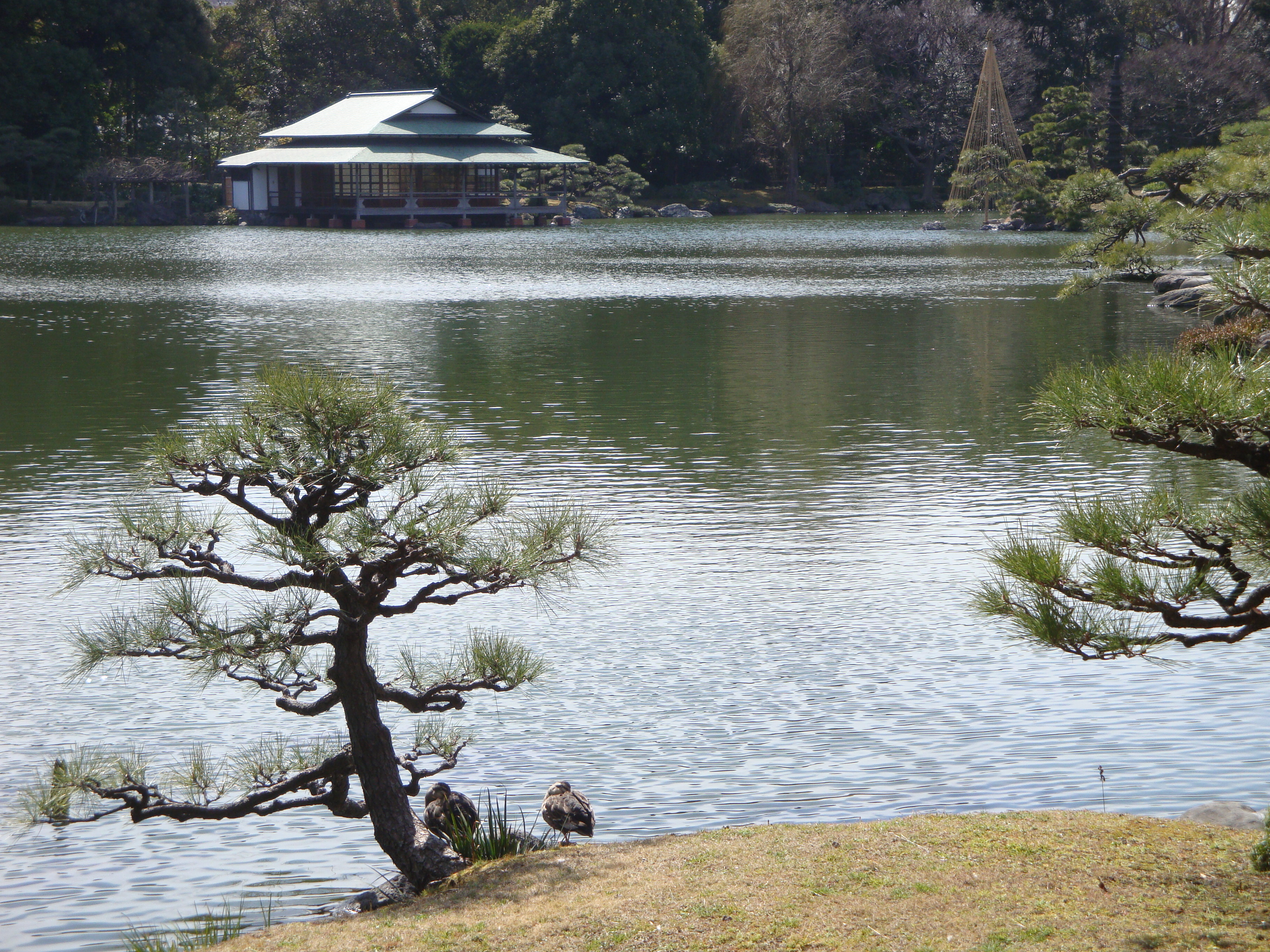 Kiyosumi Garden stepping stones over pond