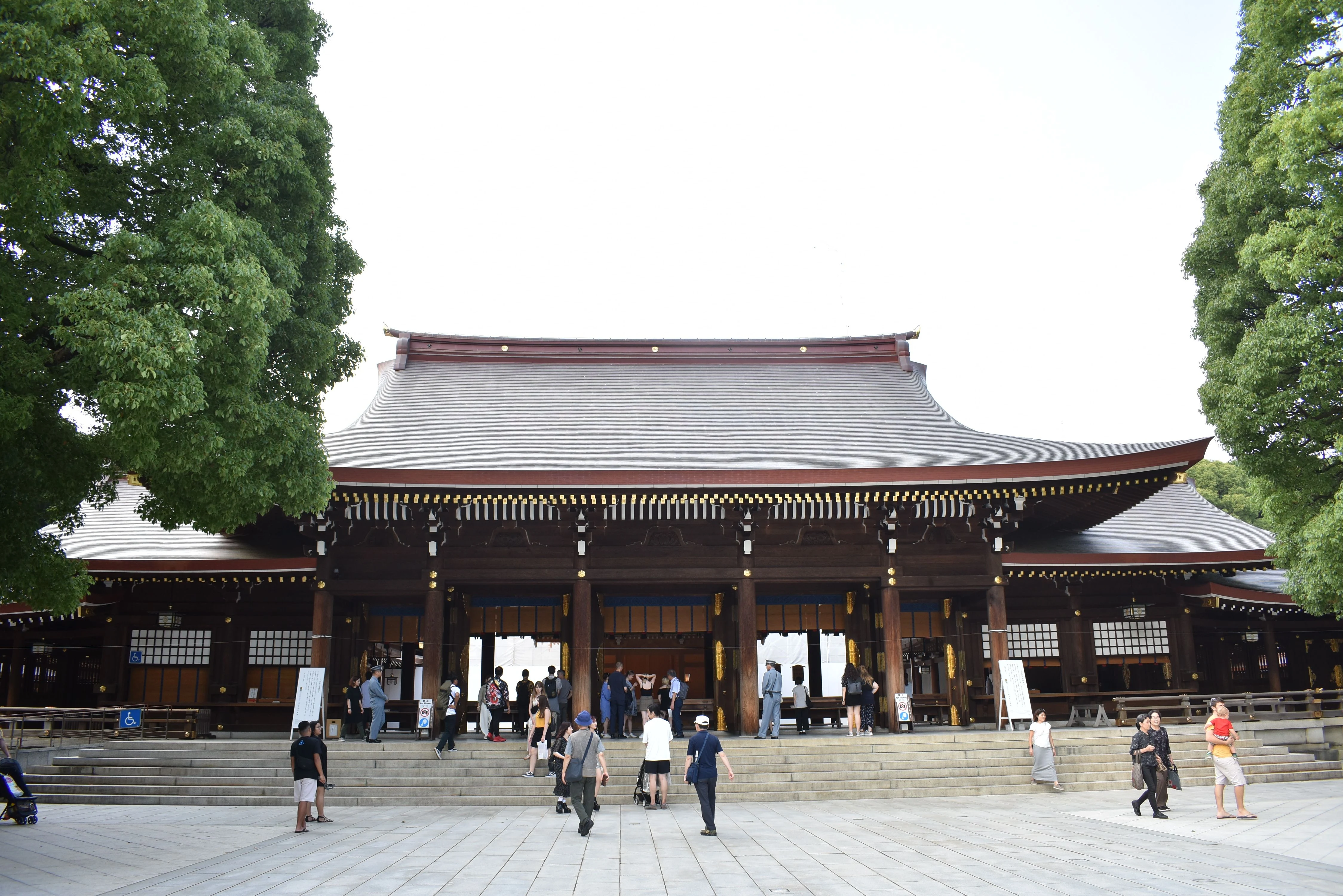 Giant wooden torii gate in cedar forest path at Meiji-jingu
