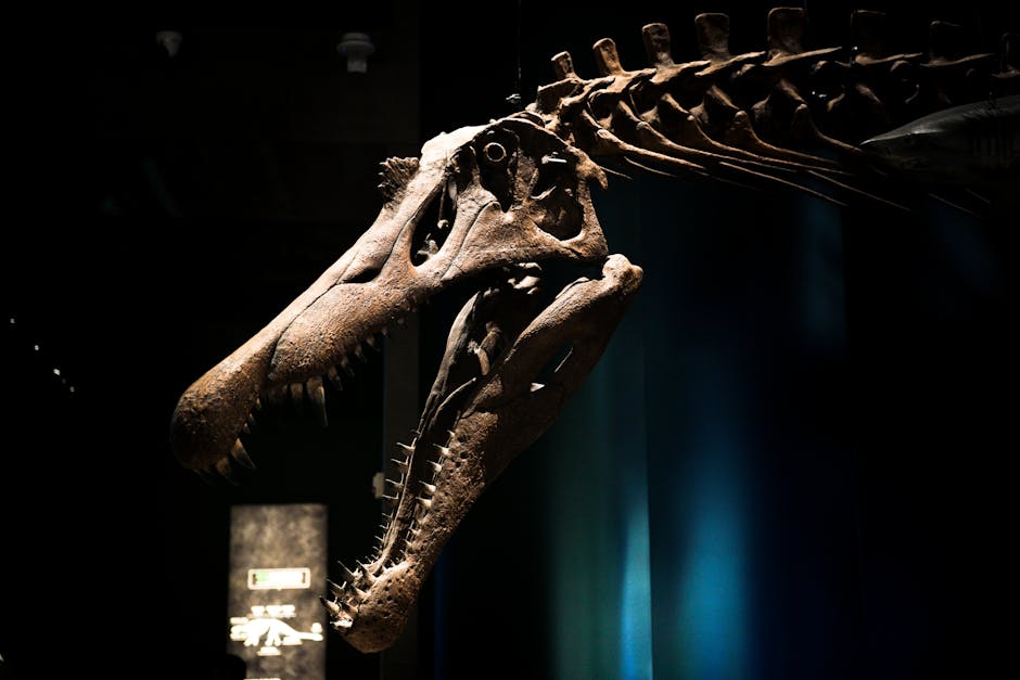 Dinosaurier-Skelett-Halle im Nationalmuseum für Natur und Wissenschaft