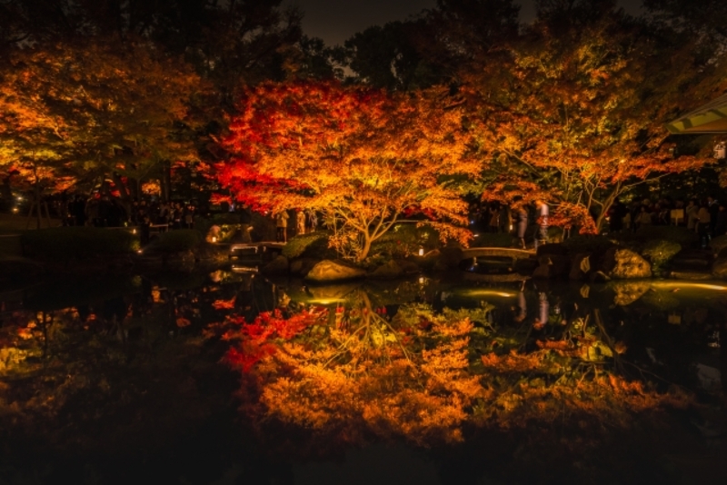 Rikugien Tuin herfst avond light-up