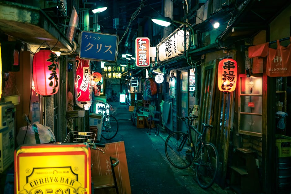 Sankaku-chitai izakaya alley evening