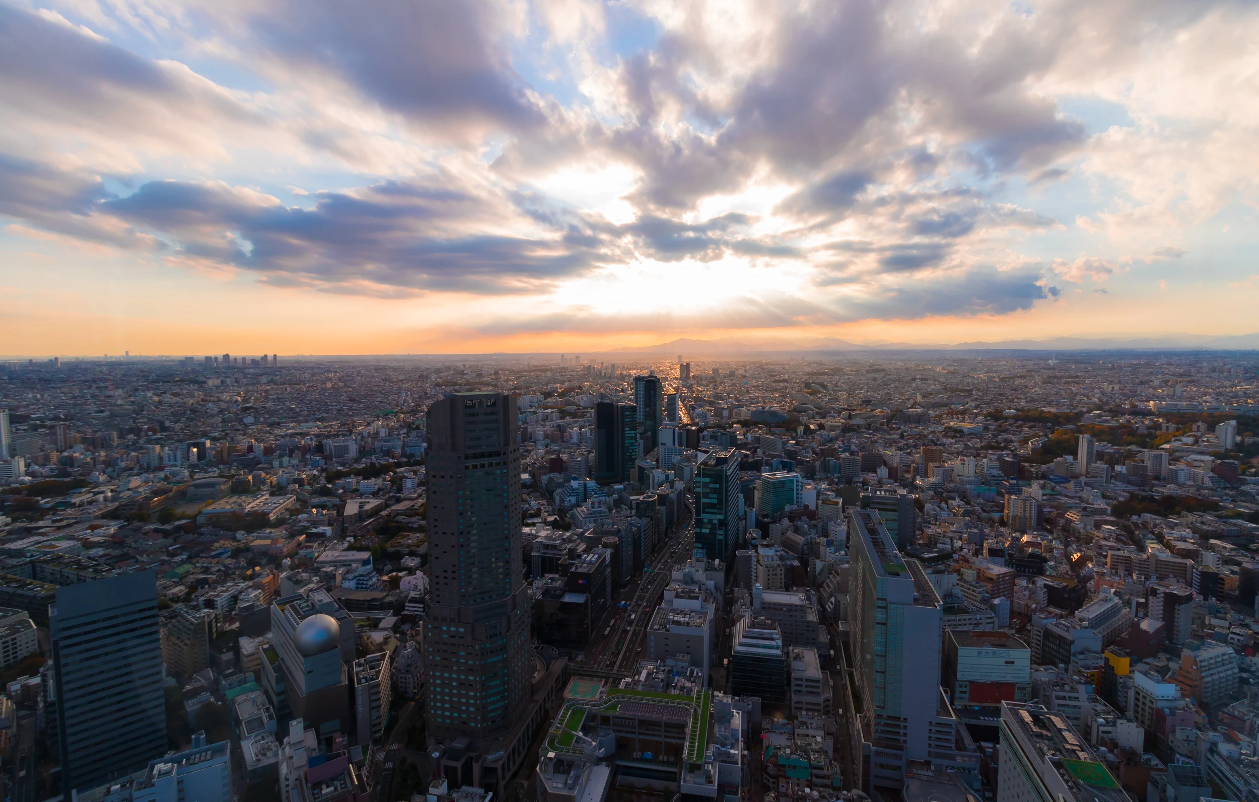 Shibuya Sky observation deck