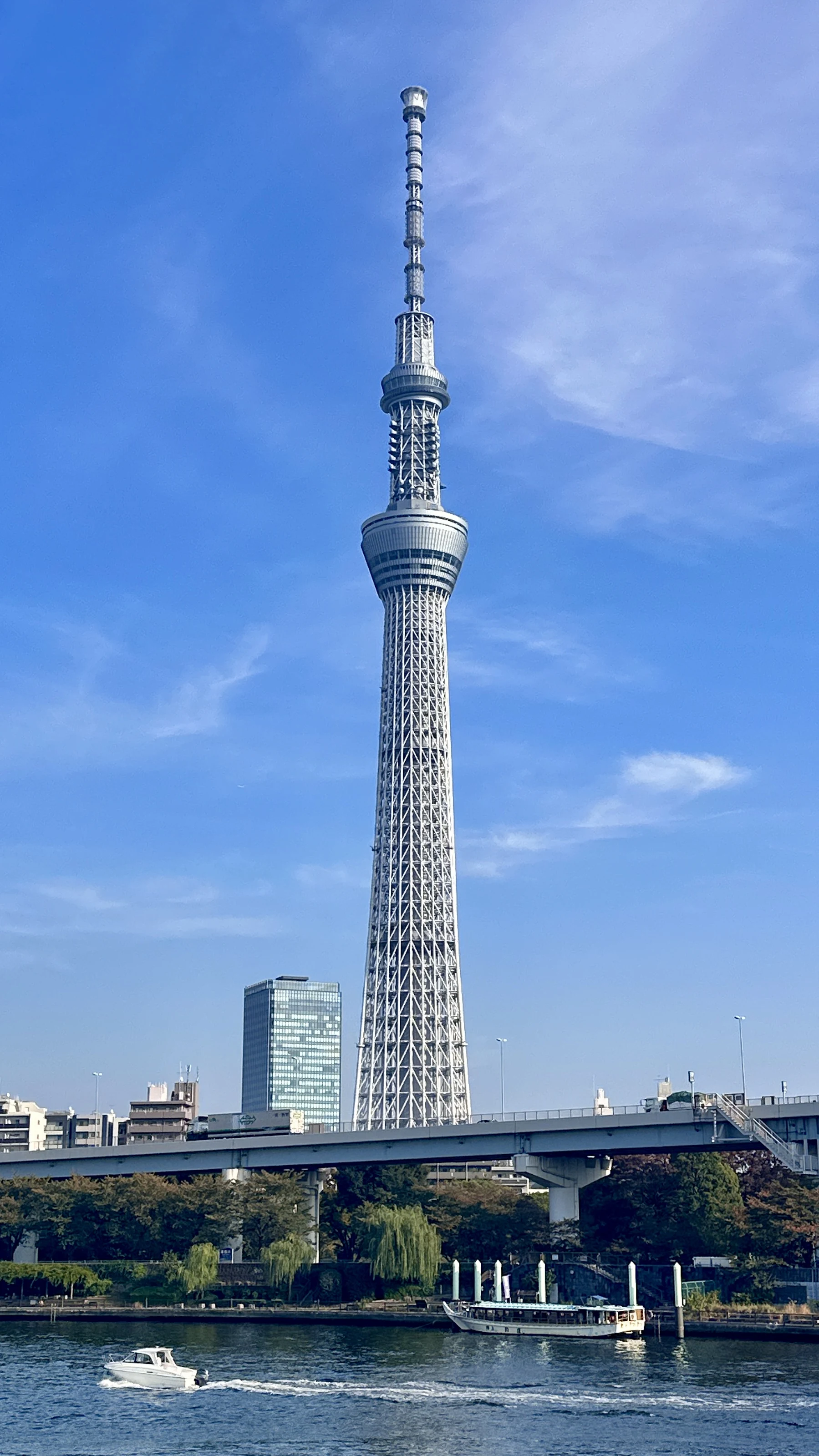 Illuminated Tokyo Skytree tower above Asakusa rooftops at night
