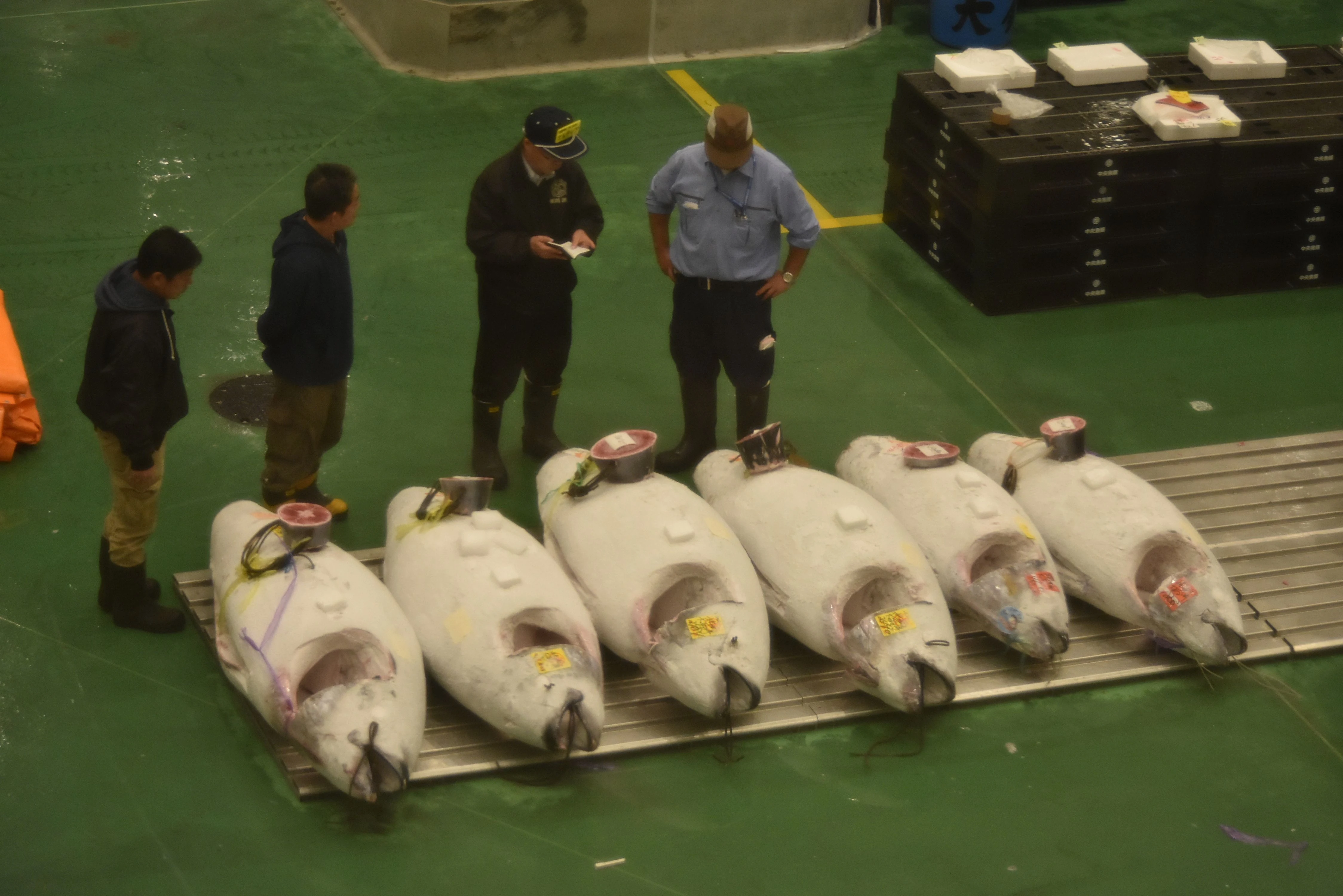 Tokyo working seafood market with stalls
