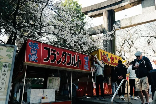 Ueno Park cherry tunnel with hanami crowds