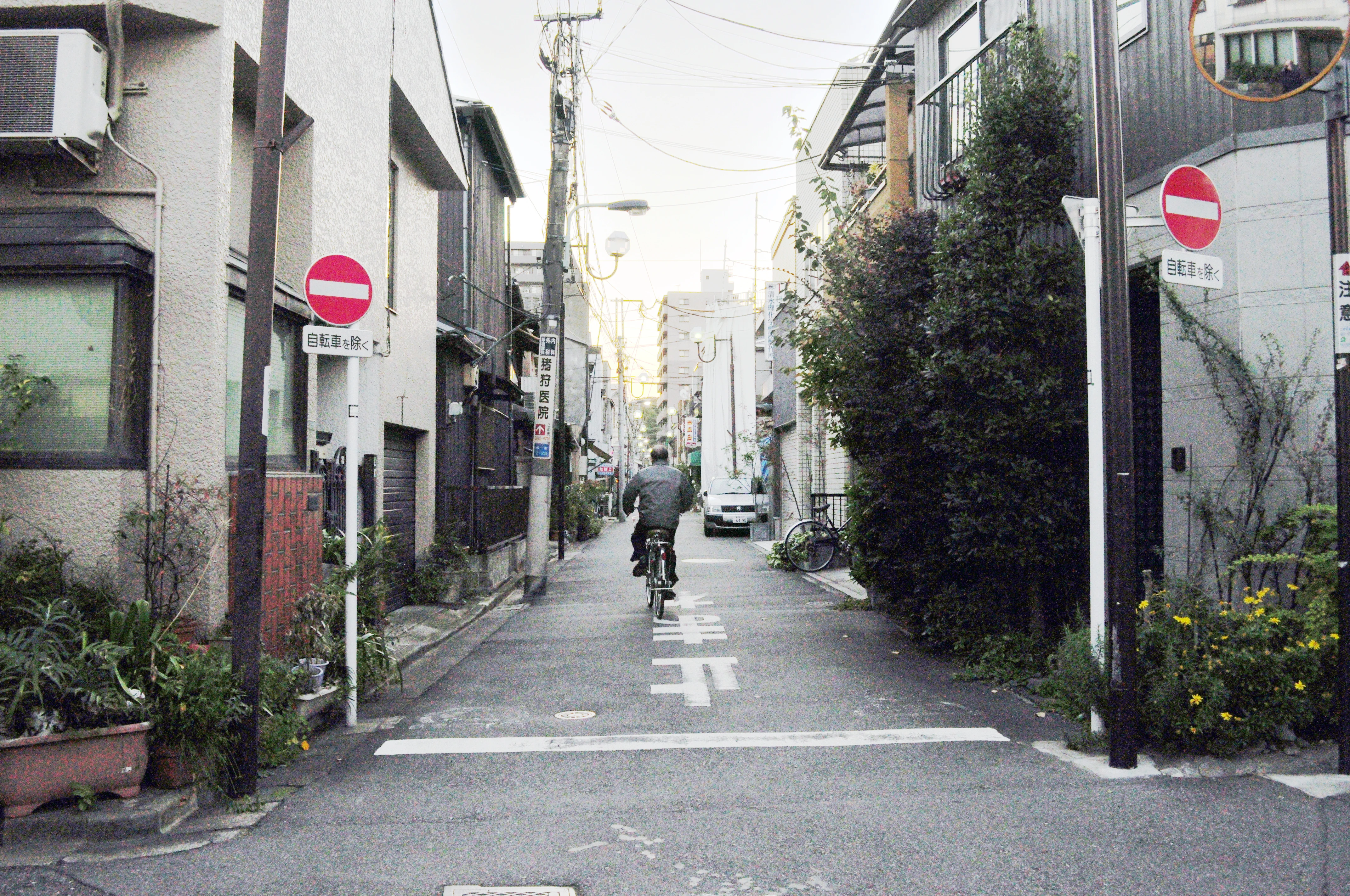Yanaka district traditional wooden houses