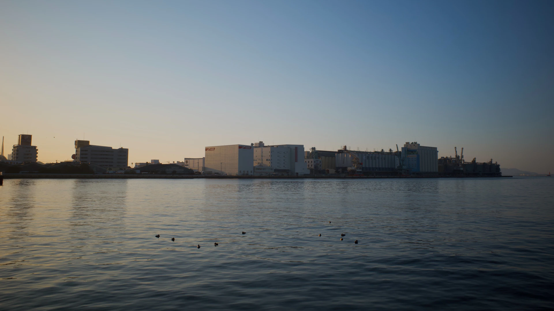 ` — there's `<h1>Fukuoka City