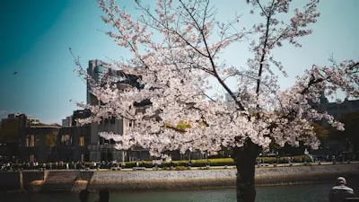 Hiroshima Castle