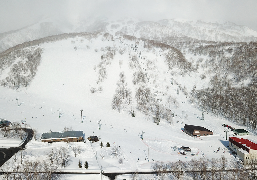 Skiers carving fresh powder on a Niseko slope under blue sky