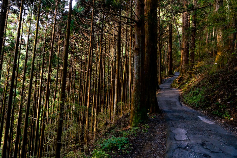 Wakayama Prefecture