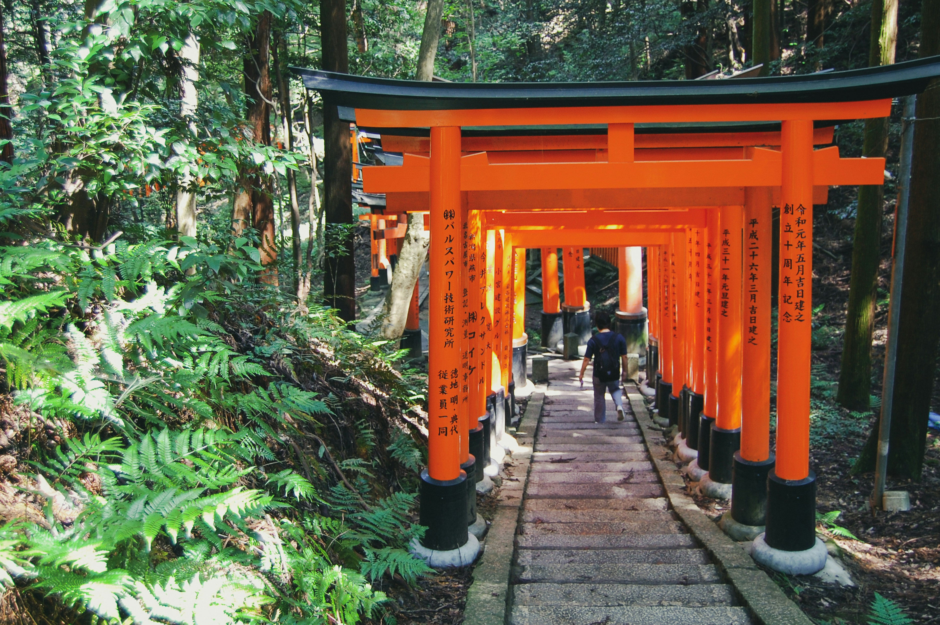 Kyoto Prefecture