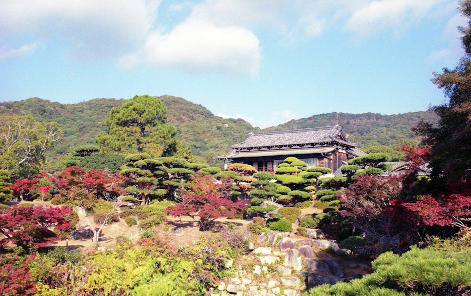 Kurodani