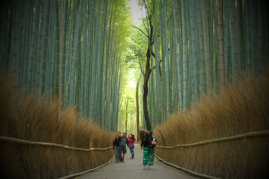 Ginkaku-ji (Silberner Pavillon)
