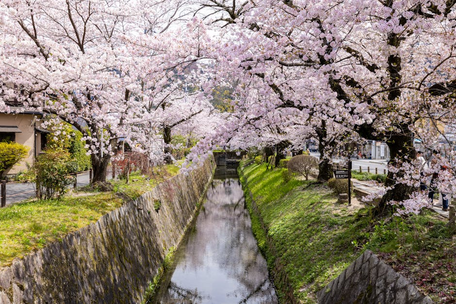 Philosopher's Path