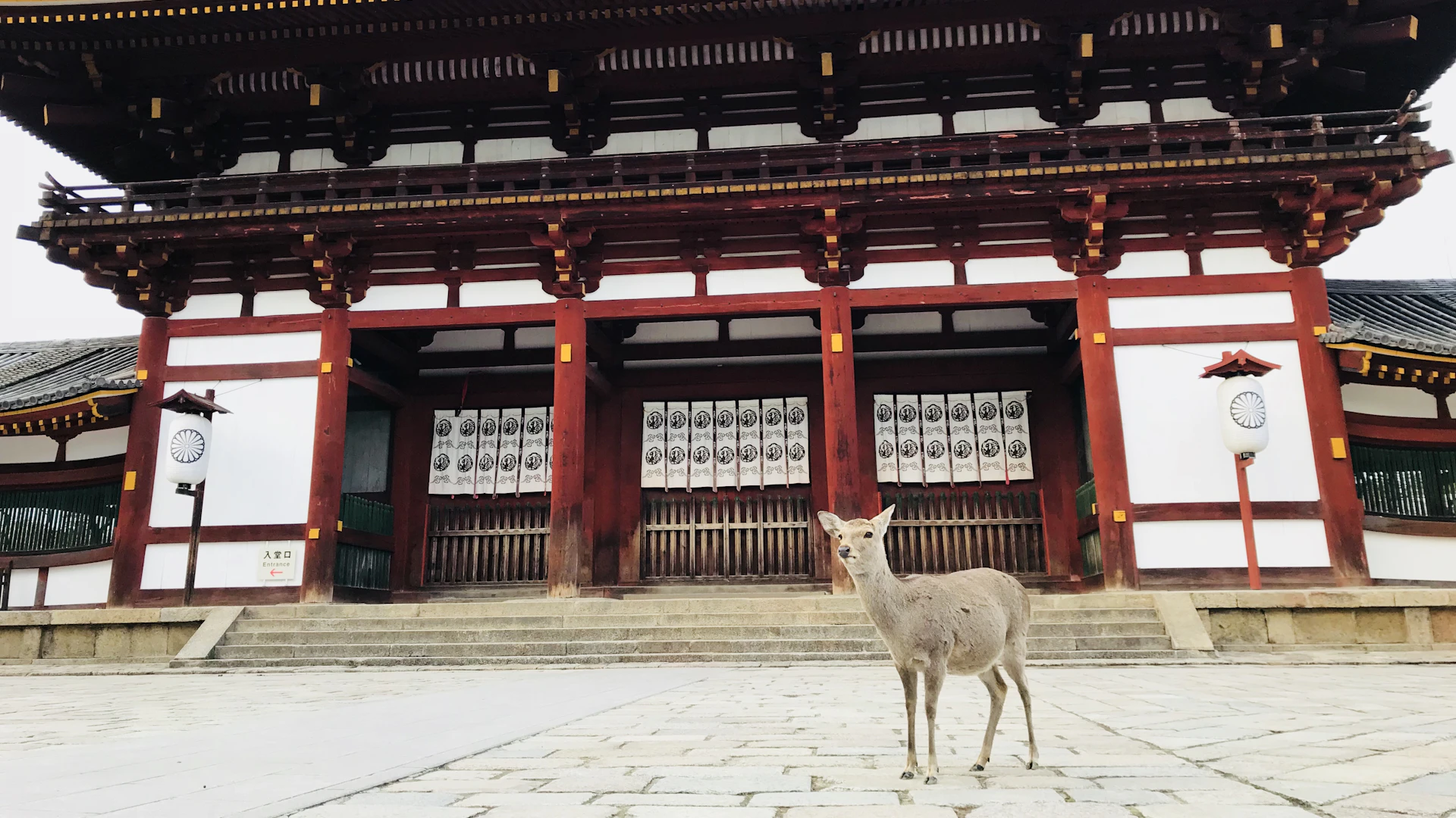 Nara