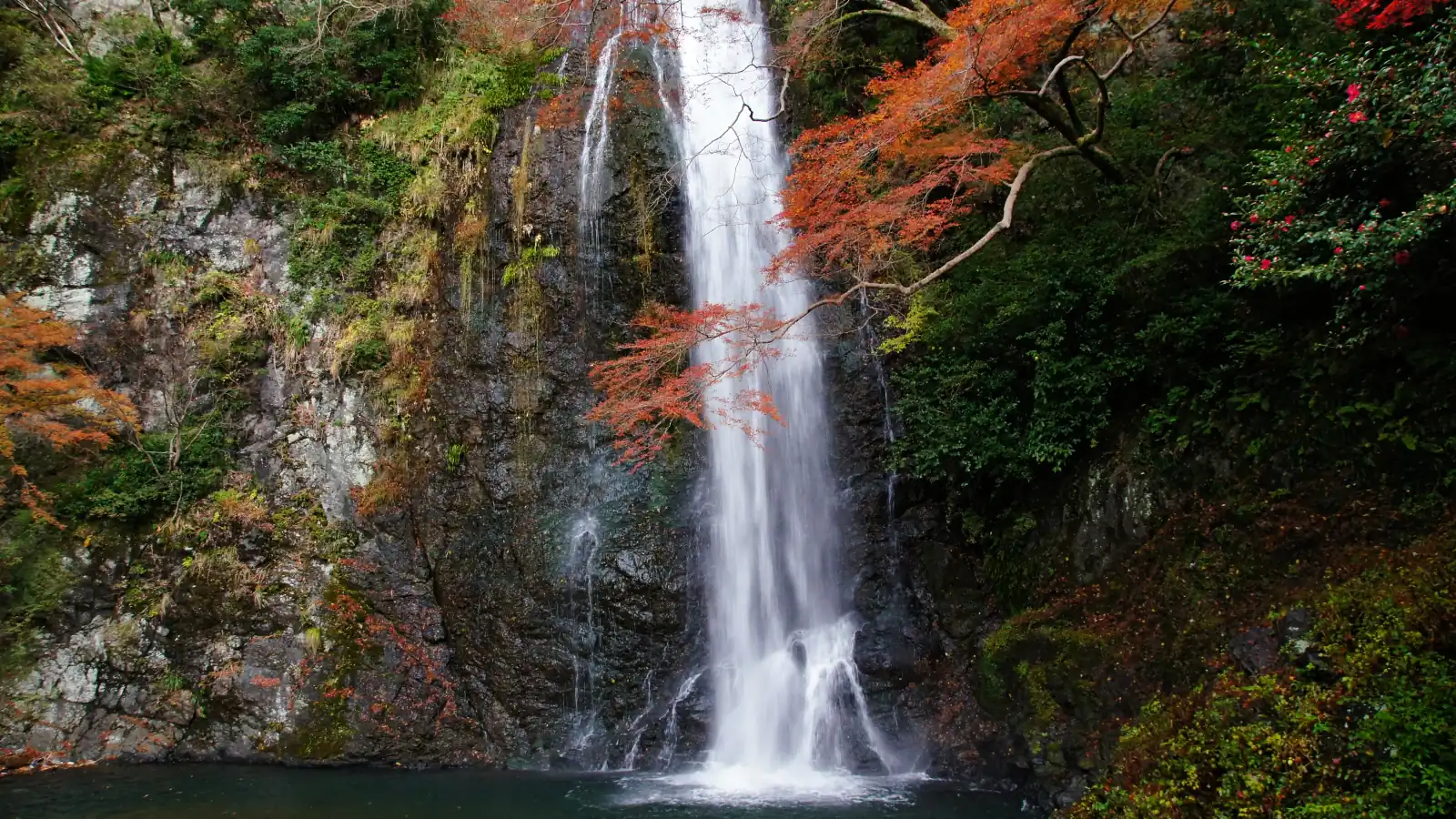 Minoh Falls with autumn maple leaves above the basin