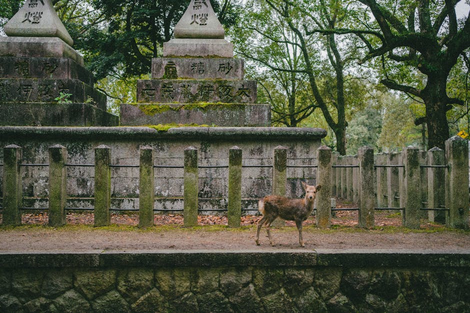 Nara