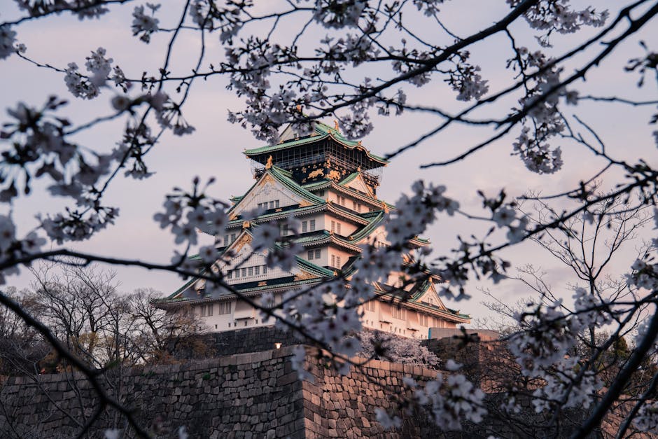 Osaka Castle
