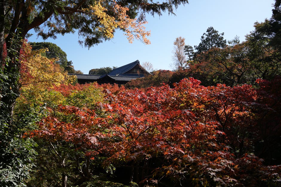 Enryaku-ji Temple