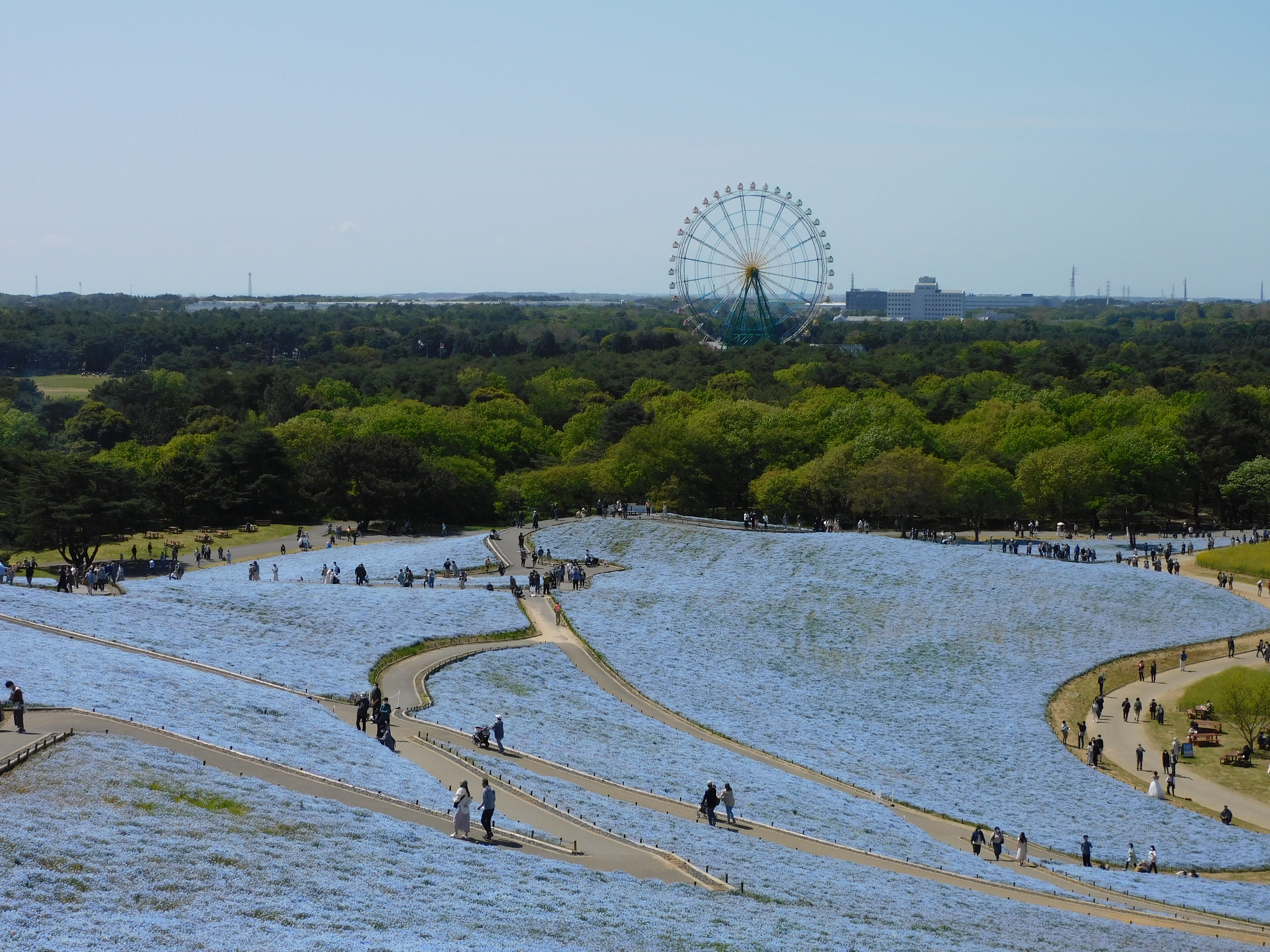 Ibaraki Prefecture